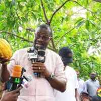 Would President Mahama have reduced cocoa prices if this were an election year ? – Annoh Dompreh asks